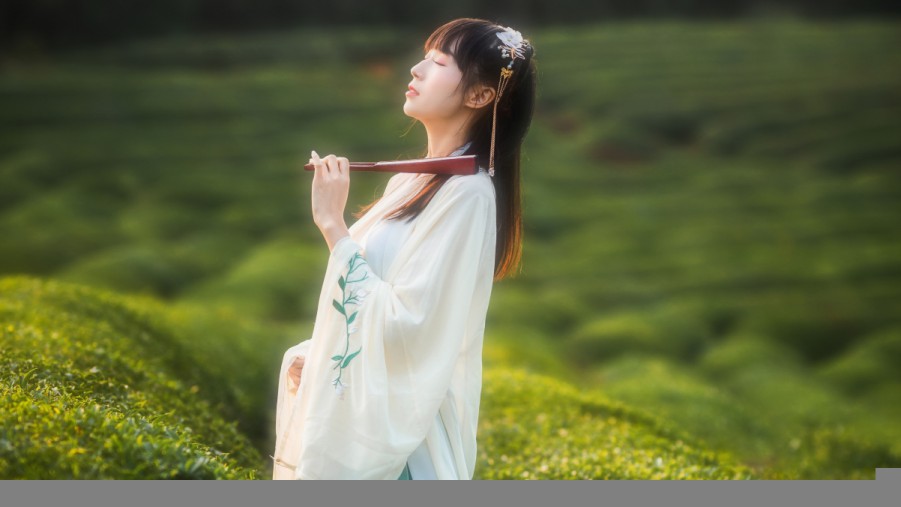 网络版最新版