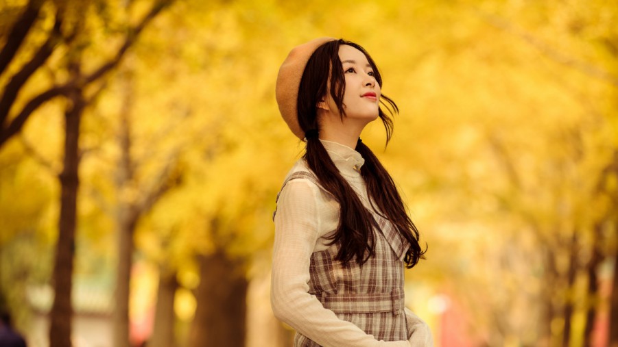 富贵竹养护误区，很多人不知道